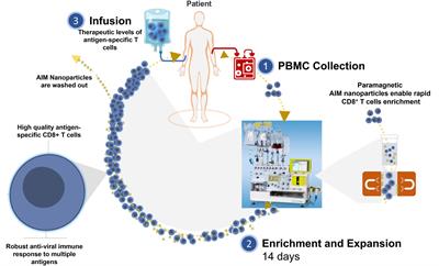 AIM™ platform: A new immunotherapy approach for viral diseases